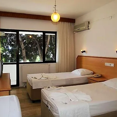 Hotel Goren *
